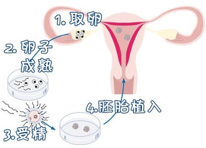 陈思远
